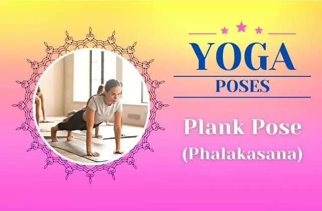 How To Do Plank Pose Phalakasana NewCritics