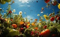Superfoods List
