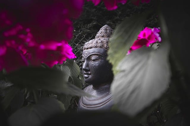 Nidra Yoga / Pixabay