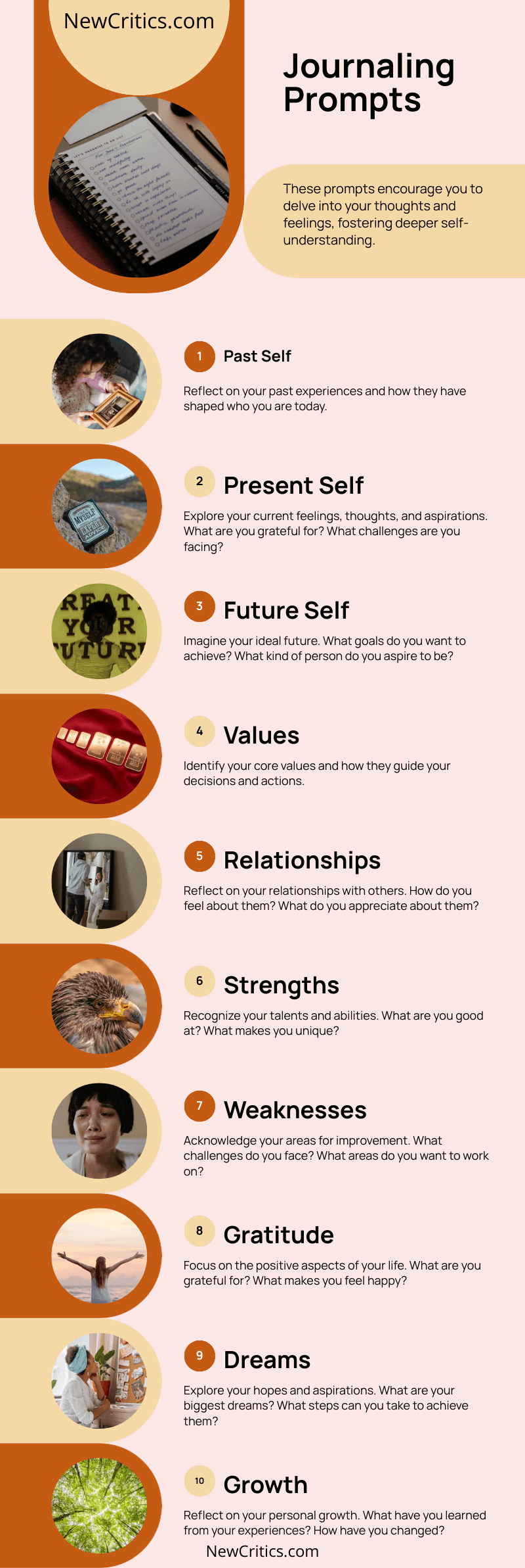 Journaling Prompts Infographics