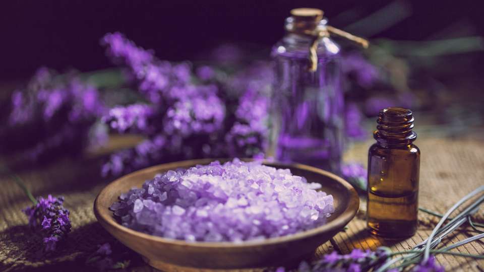 Lavender Oil / Canva