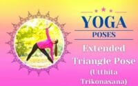 Yoga Extended Triangle Pose / Canva