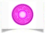 Crown Chakra Meditation