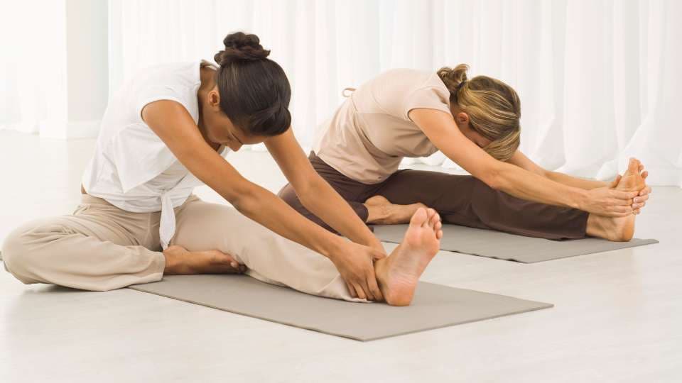 Connection Between the Theory and Yoga / Canva