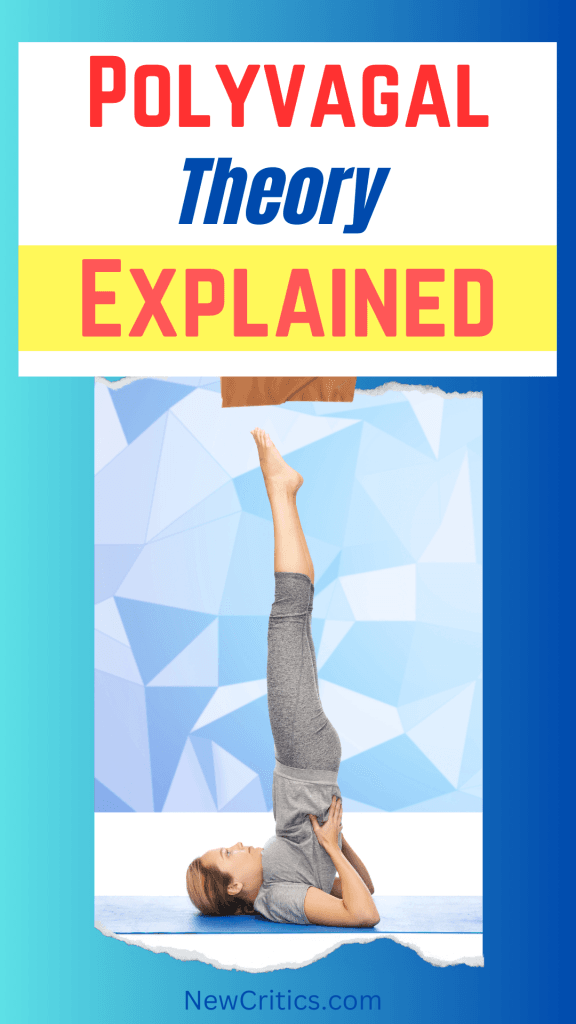 Polyvagal Theory Explained / Canva