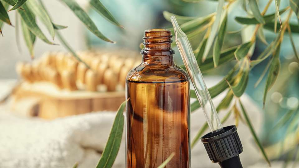 Top Brands Of Essential Oils / Canva