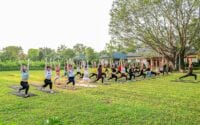 Themes For Yoga Classes / Piyabay