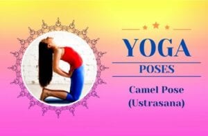 Camel Pose (Ustrasana) Canva