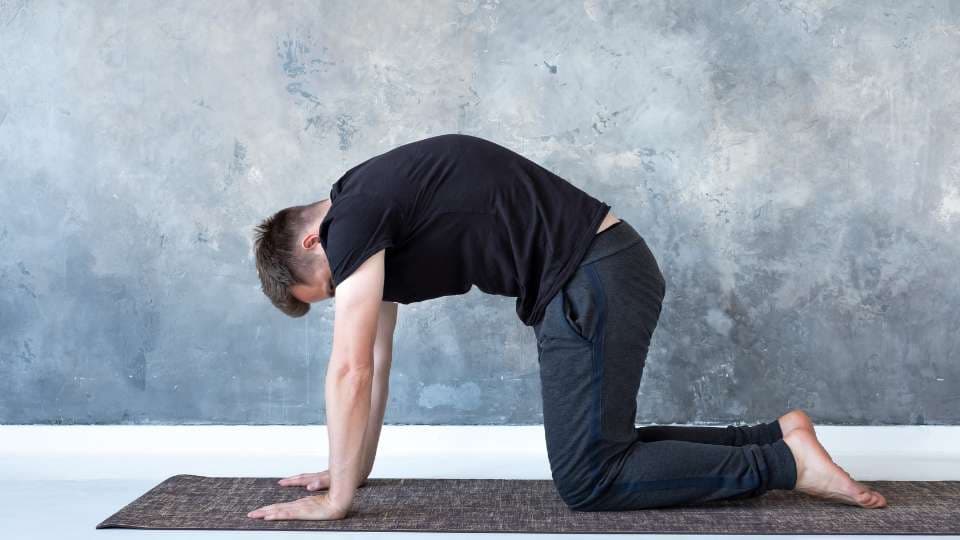 Stretching And Posture / Canva