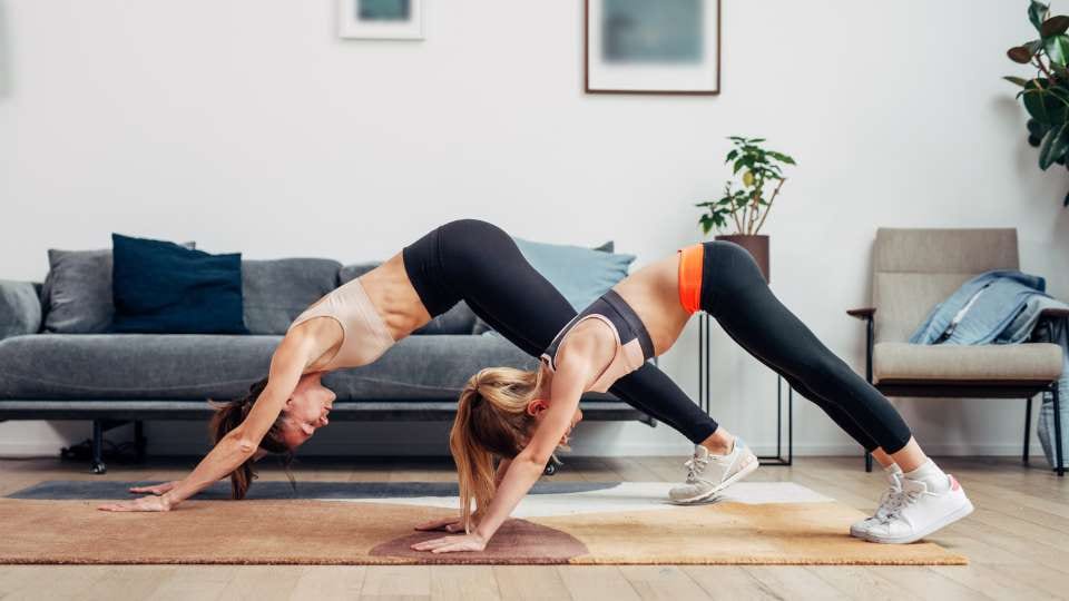 Downward-Facing Dog / Canva