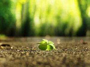 10 Poses to Instantly Boost Your Confidence / Pixabay
