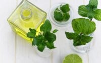 Five Essential Oils Against Chronic Inflammation / Pixabay