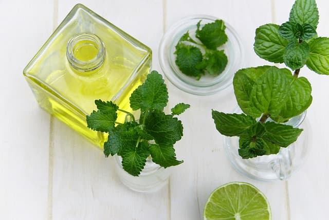 Five Essential Oils Against Chronic Inflammation / Pixabay
