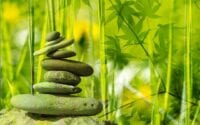 99 Holistic Lifestyle Ideas / Pixabay