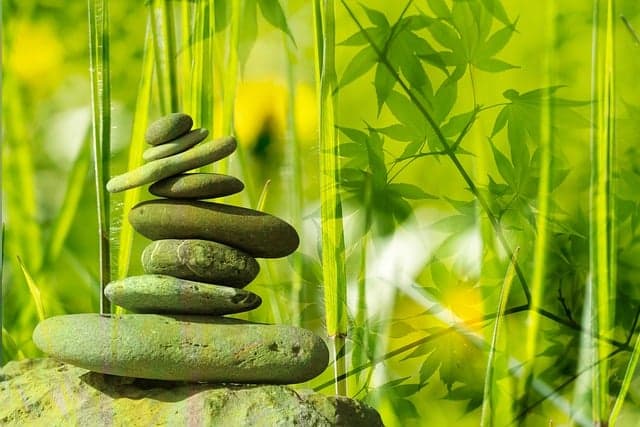 99 Holistic Lifestyle Ideas / Pixabay