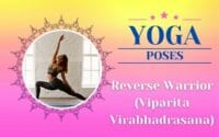 Reverse Warrior (Viparita Virabhadrasana) Canva