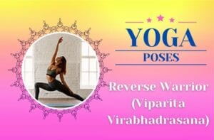 Reverse Warrior (Viparita Virabhadrasana) Canva
