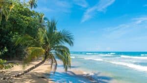 Costa Rica Life Expectancy / Canva