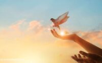 Forgiveness Meditation / Canva