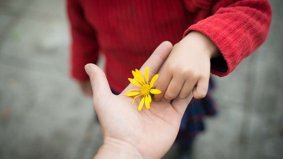 Gratitude Meditation for Beginners / Canva
