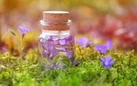 Natural Remedy for Anxiety Relief / Canva