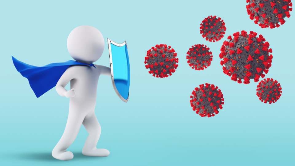 Cleanses Lymph and Immune Systems / Canva