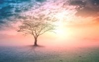Spirituality / Canva