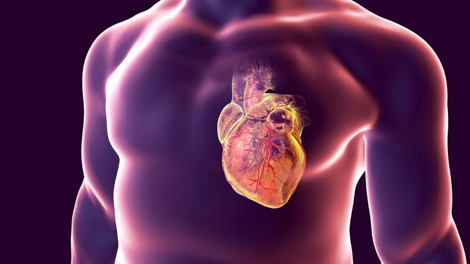 Yoga and Cardiovascular / Canva