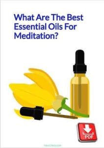 Essential Oils Download / Canva