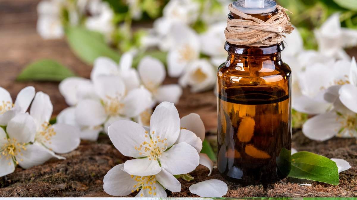 Choose the Right Essential Oils / Canva