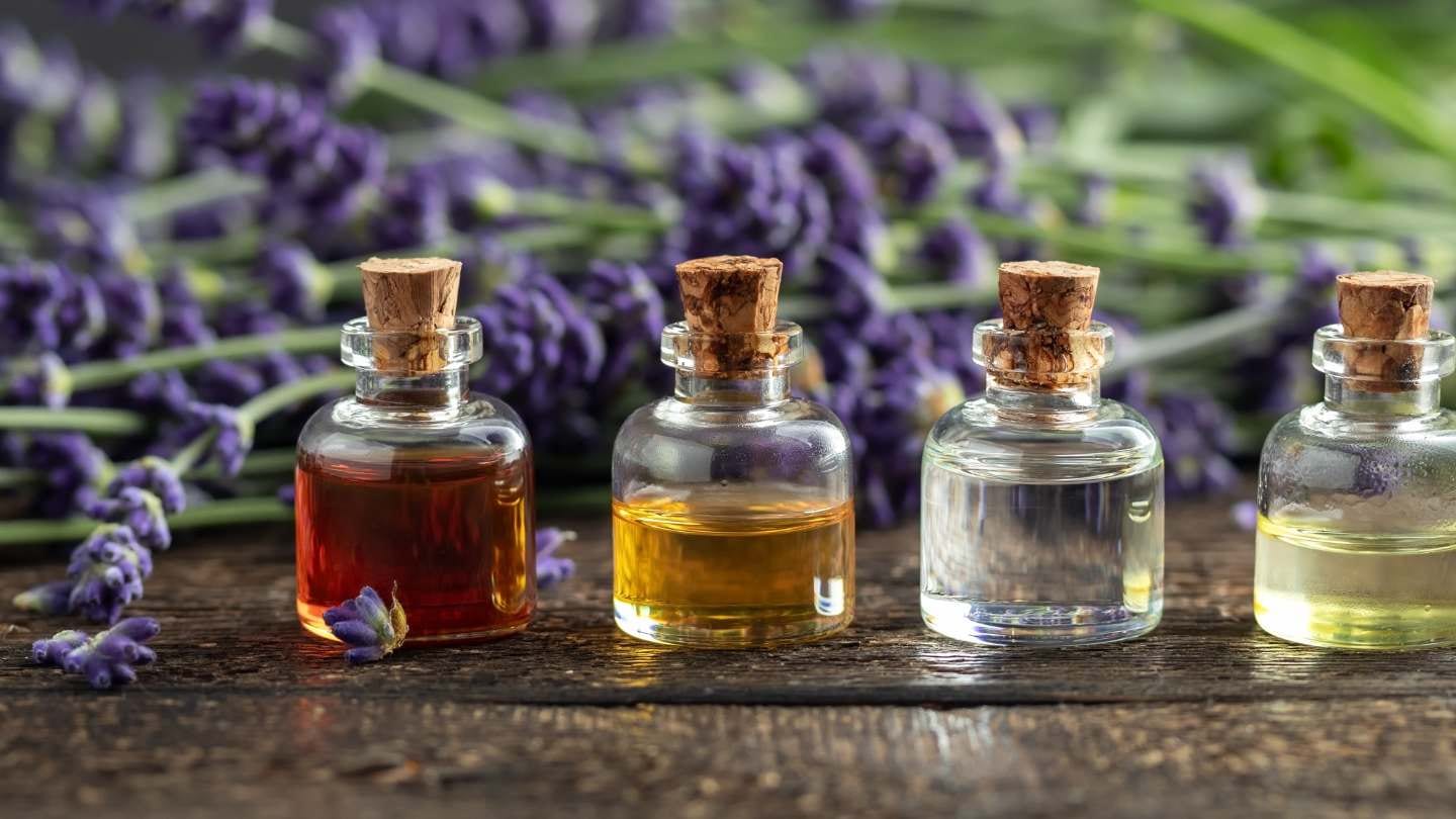 How Essential Oils Work / Canva