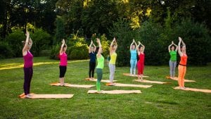 Yoga and the green movement / Canva