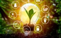 Energy of Money / Canva
