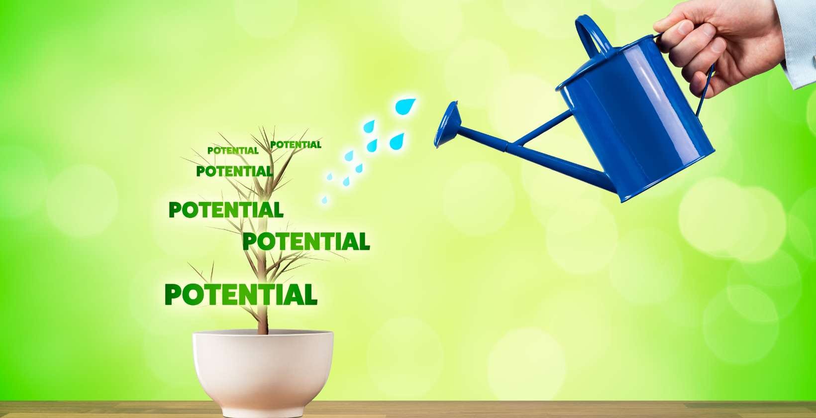 Improve Your Full Potential / Canva