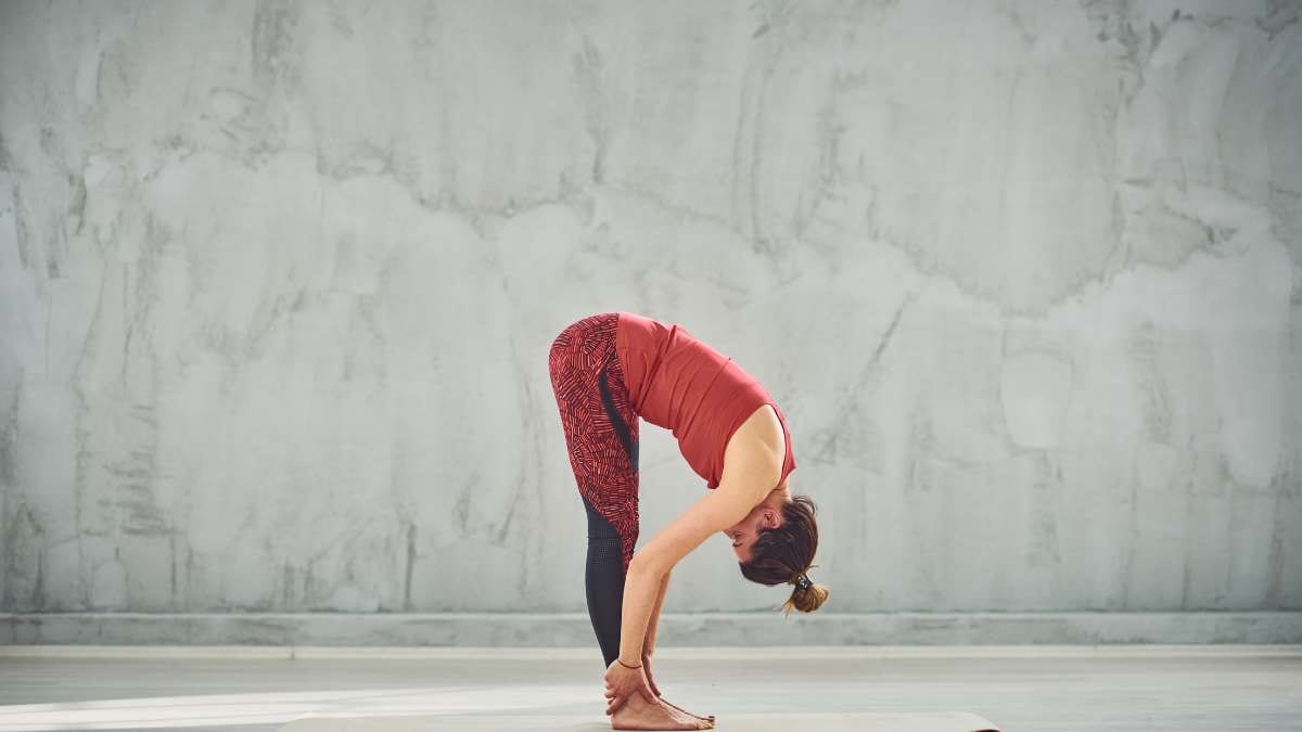 Standing Forward Fold / Canva