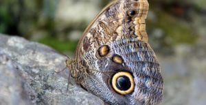 Signs Your Third Eye is Opening / Canva