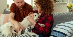 The Healing Power of Animal Companionship / Canva