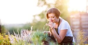 Yoga for Gardeners Practice / Canva