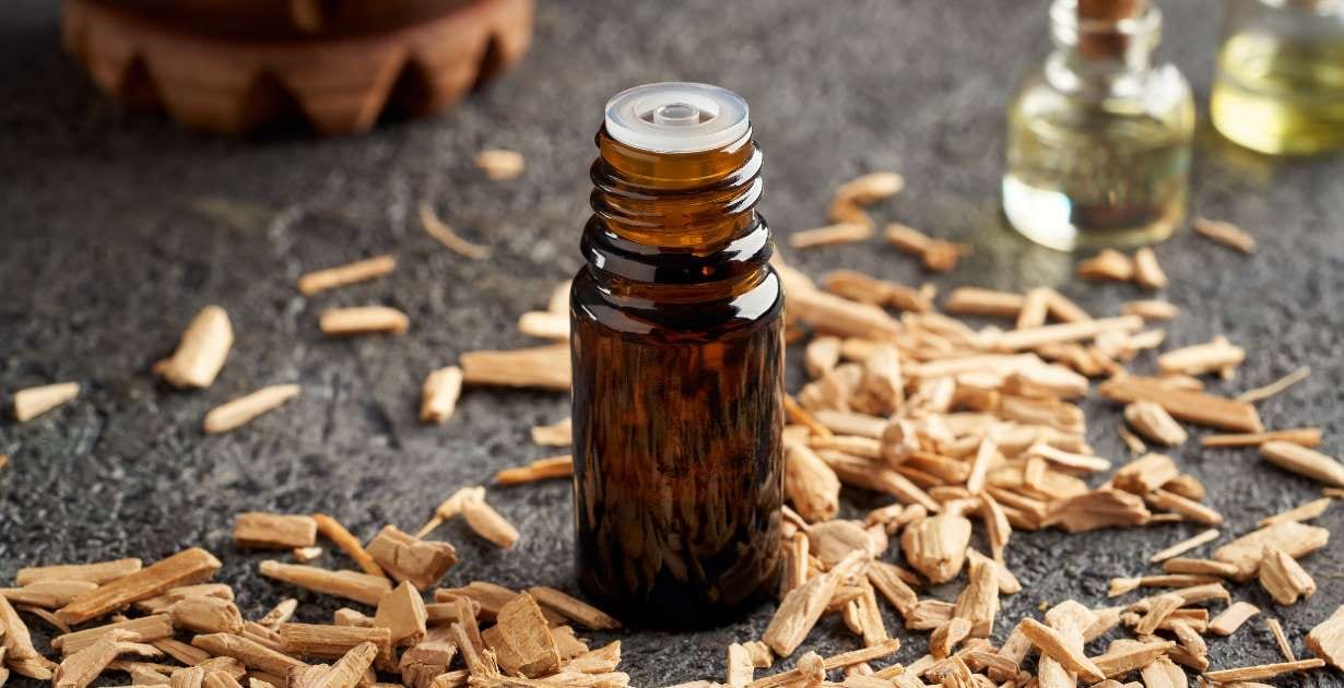 Cedarwood Essential Oil / Canva