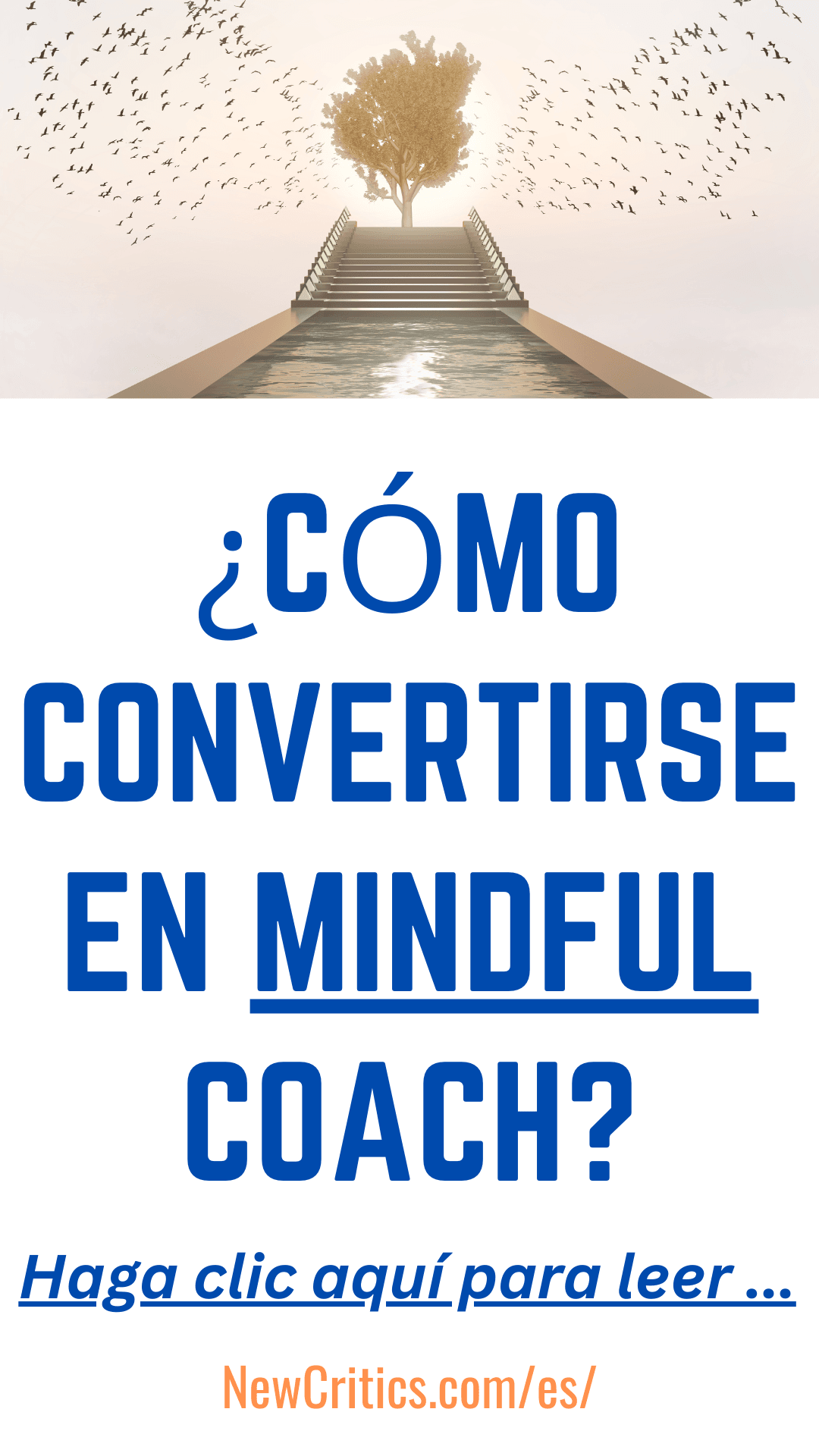 ¿Cómo convertirse en coach de mindfulness? / C