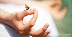 La meditación y su papel en el despertar espiritual / C