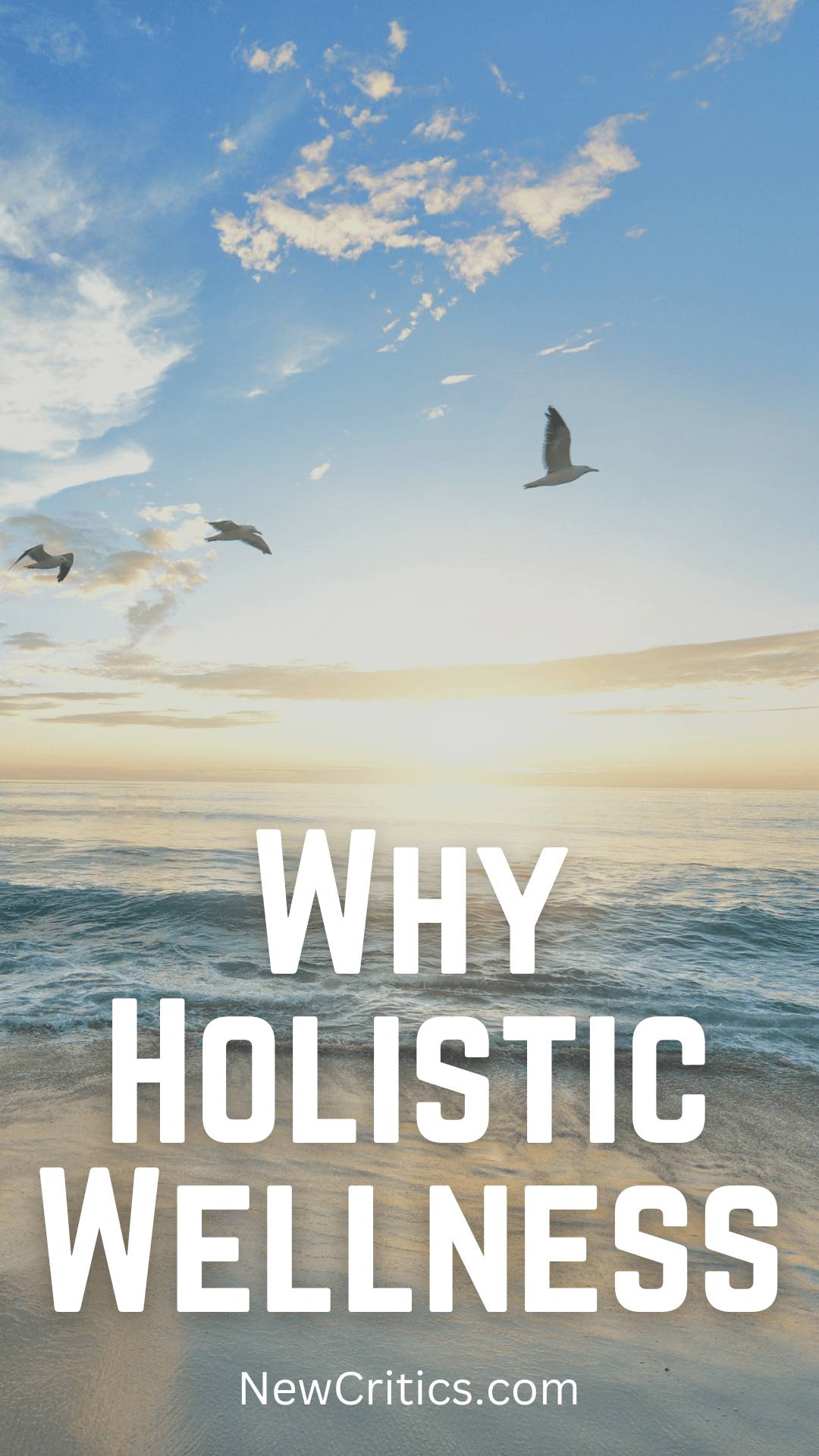 Why Holistic Wellness / C