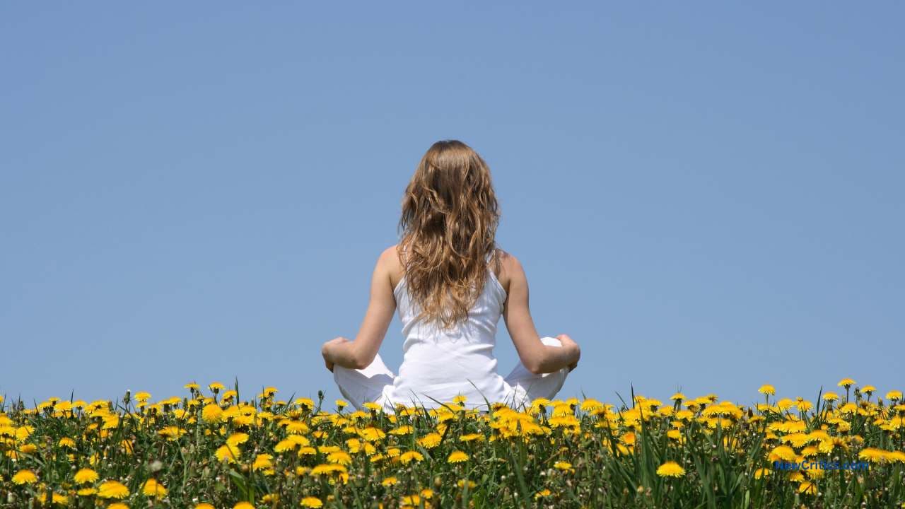 Meditation and Mindfulness / C