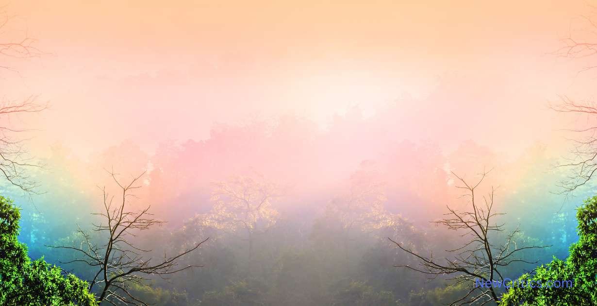 Prácticas para mejorar la salud espiritual / C