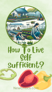 How To Live Self-sufficient / C