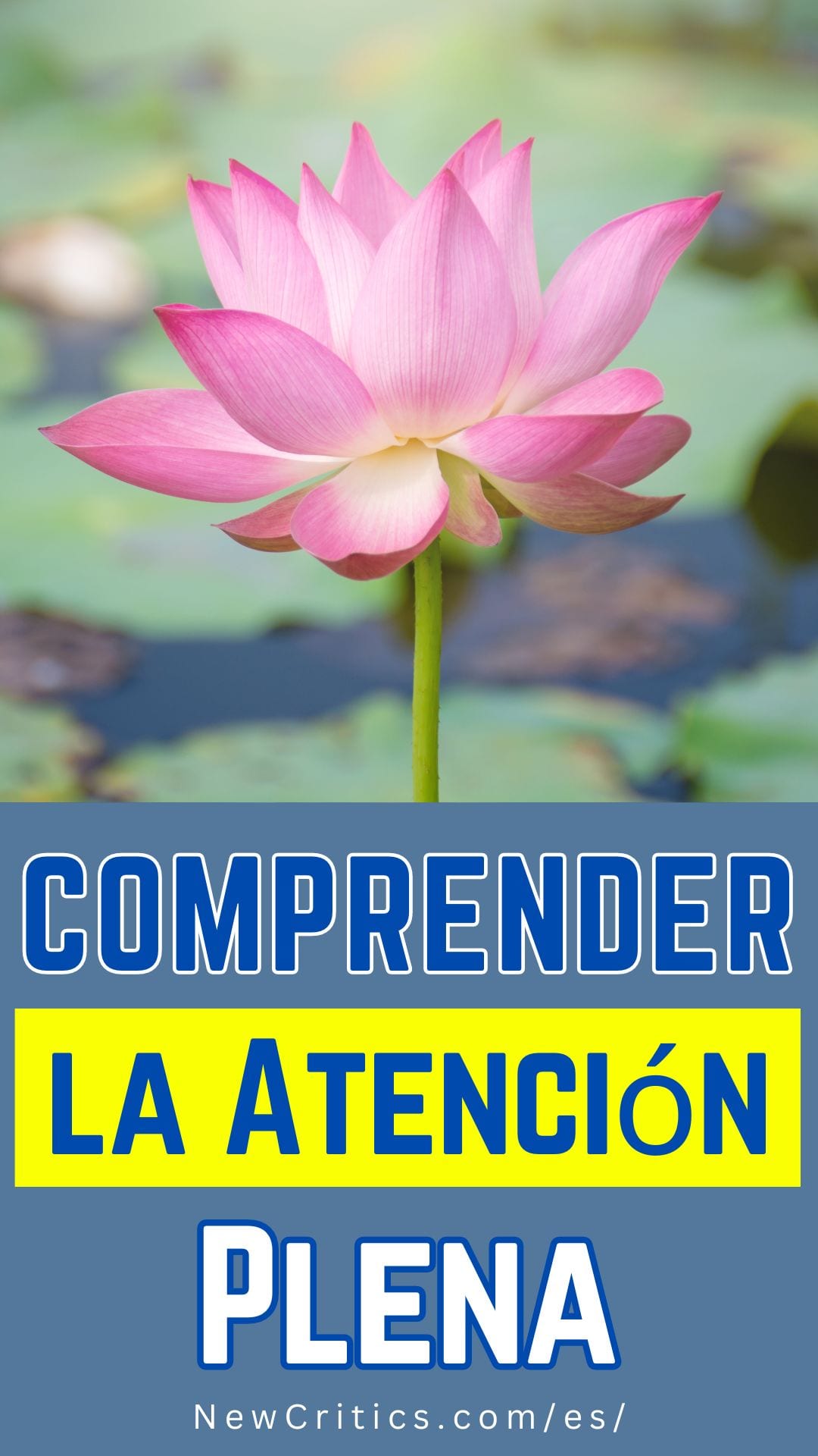 Comprender Atencion Plena / C