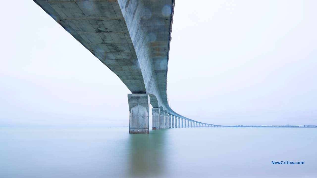Creativity as a Fundamental Aspect of Human Potential / C
