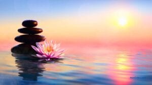 Health Benefits of Regular Meditation / C