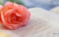 Insights with a Spiritual Reading