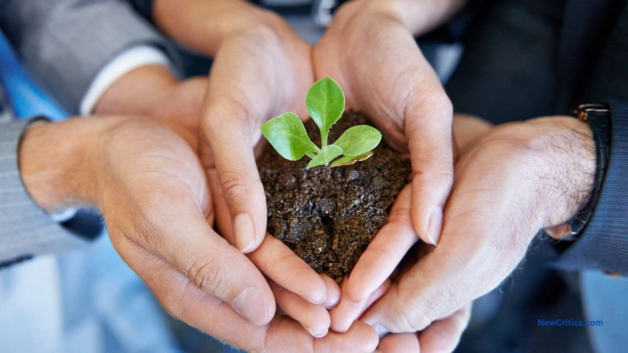Nurturing Spiritual Growth Together / C